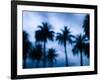 Palms along Ocean Avenue, Santa Monica, Los Angeles, California, USA-Walter Bibikow-Framed Photographic Print