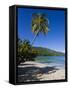 Palms and Beach at Magens Bay, St. Thomas, U.S. Virgin Islands, West Indies-Gavin Hellier-Framed Stretched Canvas