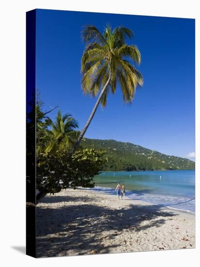 Palms and Beach at Magens Bay, St. Thomas, U.S. Virgin Islands, West Indies-Gavin Hellier-Stretched Canvas