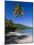 Palms and Beach at Magens Bay, St. Thomas, U.S. Virgin Islands, West Indies-Gavin Hellier-Mounted Photographic Print