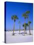 Palms and Beach, Clearwater Beach, Florida, USA-Fraser Hall-Stretched Canvas