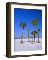 Palms and Beach, Clearwater Beach, Florida, USA-Fraser Hall-Framed Photographic Print