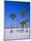 Palms and Beach, Clearwater Beach, Florida, USA-Fraser Hall-Mounted Photographic Print