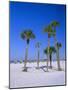 Palms and Beach, Clearwater Beach, Florida, USA-Fraser Hall-Mounted Photographic Print