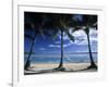 Palms and Hammock, Akitua Motu, Aitutaki, Cook Islands-Walter Bibikow-Framed Photographic Print