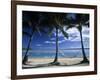 Palms and Hammock, Akitua Motu, Aitutaki, Cook Islands-Walter Bibikow-Framed Photographic Print