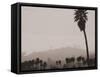 Palms and Hill-Graeme Harris-Framed Stretched Canvas