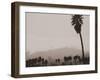 Palms and Hill-Graeme Harris-Framed Photographic Print