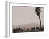 Palms and Hill-Graeme Harris-Framed Photographic Print