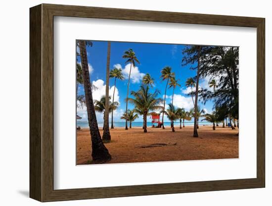 Palms And Lifeguard Hut, Luquillo Beach, Pr-George Oze-Framed Photographic Print