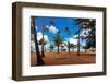 Palms And Lifeguard Hut, Luquillo Beach, Pr-George Oze-Framed Photographic Print