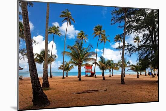 Palms And Lifeguard Hut, Luquillo Beach, Pr-George Oze-Mounted Photographic Print