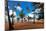 Palms And Lifeguard Hut, Luquillo Beach, Pr-George Oze-Mounted Photographic Print