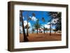 Palms And Lifeguard Hut, Luquillo Beach, Pr-George Oze-Framed Premium Photographic Print