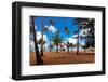 Palms And Lifeguard Hut, Luquillo Beach, Pr-George Oze-Framed Premium Photographic Print