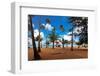 Palms And Lifeguard Hut, Luquillo Beach, Pr-George Oze-Framed Premium Photographic Print