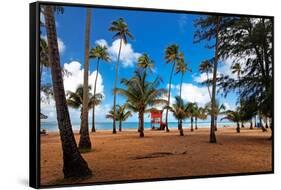 Palms And Lifeguard Hut, Luquillo Beach, Pr-George Oze-Framed Stretched Canvas