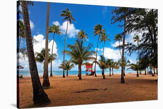 Palms And Lifeguard Hut, Luquillo Beach, Pr-George Oze-Stretched Canvas