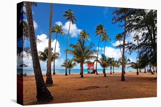 Palms And Lifeguard Hut, Luquillo Beach, Pr-George Oze-Stretched Canvas