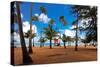 Palms And Lifeguard Hut, Luquillo Beach, Pr-George Oze-Stretched Canvas