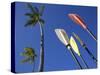 Palms and Paddles, Bavaro Beach, Punta Cana, Dominican Republic, West Indies, Caribbean, Central Am-Frank Fell-Stretched Canvas