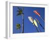 Palms and Paddles, Bavaro Beach, Punta Cana, Dominican Republic, West Indies, Caribbean, Central Am-Frank Fell-Framed Photographic Print