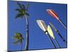 Palms and Paddles, Bavaro Beach, Punta Cana, Dominican Republic, West Indies, Caribbean, Central Am-Frank Fell-Mounted Photographic Print