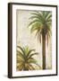 Palms and Scrolls I-Patricia Pinto-Framed Art Print