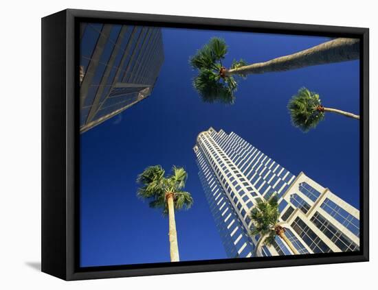 Palms and Skyscrapers in Downtown Tampa, Florida, United States of America, North America-Tomlinson Ruth-Framed Stretched Canvas