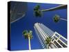 Palms and Skyscrapers in Downtown Tampa, Florida, United States of America, North America-Tomlinson Ruth-Stretched Canvas