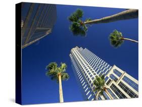 Palms and Skyscrapers in Downtown Tampa, Florida, United States of America, North America-Tomlinson Ruth-Stretched Canvas