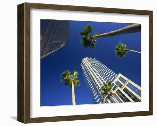 Palms and Skyscrapers in Downtown Tampa, Florida, United States of America, North America-Tomlinson Ruth-Framed Photographic Print