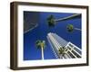 Palms and Skyscrapers in Downtown Tampa, Florida, United States of America, North America-Tomlinson Ruth-Framed Photographic Print