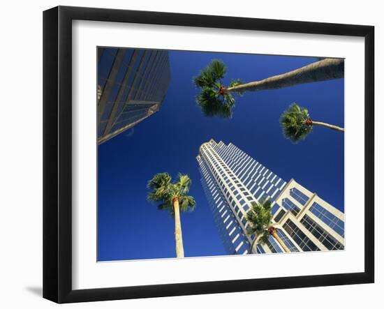 Palms and Skyscrapers in Downtown Tampa, Florida, United States of America, North America-Tomlinson Ruth-Framed Photographic Print