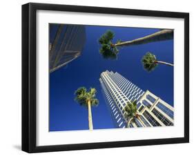 Palms and Skyscrapers in Downtown Tampa, Florida, United States of America, North America-Tomlinson Ruth-Framed Photographic Print