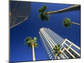 Palms and Skyscrapers in Downtown Tampa, Florida, United States of America, North America-Tomlinson Ruth-Mounted Photographic Print