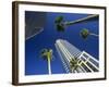 Palms and Skyscrapers in Downtown Tampa, Florida, United States of America, North America-Tomlinson Ruth-Framed Photographic Print