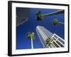 Palms and Skyscrapers in Downtown Tampa, Florida, United States of America, North America-Tomlinson Ruth-Framed Photographic Print