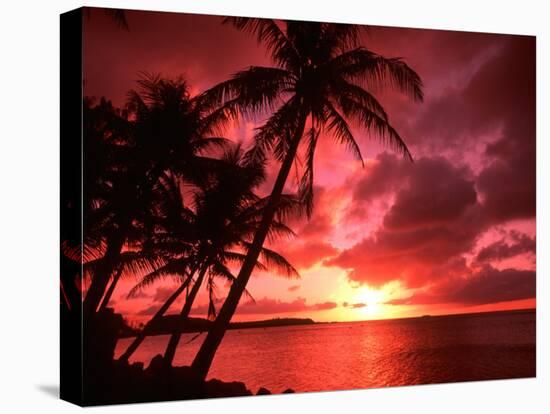 Palms And Sunset at Tumon Bay, Guam-Bill Bachmann-Stretched Canvas