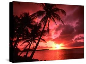 Palms And Sunset at Tumon Bay, Guam-Bill Bachmann-Stretched Canvas