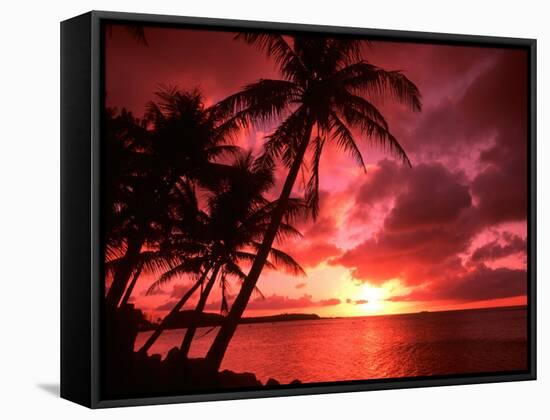 Palms And Sunset at Tumon Bay, Guam-Bill Bachmann-Framed Stretched Canvas