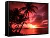 Palms And Sunset at Tumon Bay, Guam-Bill Bachmann-Framed Stretched Canvas