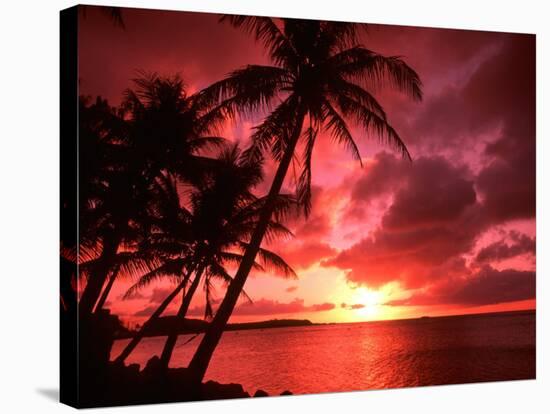 Palms And Sunset at Tumon Bay, Guam-Bill Bachmann-Stretched Canvas