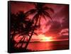 Palms And Sunset at Tumon Bay, Guam-Bill Bachmann-Framed Stretched Canvas