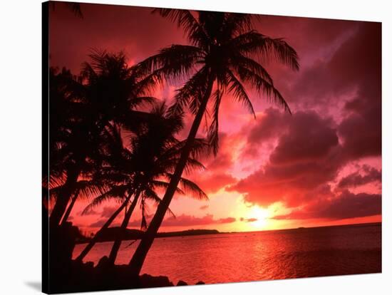 Palms And Sunset at Tumon Bay, Guam-Bill Bachmann-Stretched Canvas