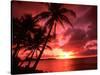 Palms And Sunset at Tumon Bay, Guam-Bill Bachmann-Stretched Canvas