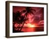 Palms And Sunset at Tumon Bay, Guam-Bill Bachmann-Framed Premium Photographic Print