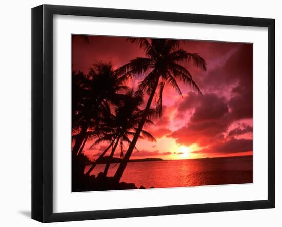 Palms And Sunset at Tumon Bay, Guam-Bill Bachmann-Framed Premium Photographic Print