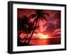 Palms And Sunset at Tumon Bay, Guam-Bill Bachmann-Framed Premium Photographic Print