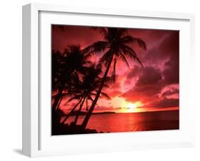 Palms And Sunset at Tumon Bay, Guam-Bill Bachmann-Framed Premium Photographic Print